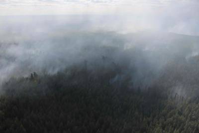 Более 100 человек тушат лесной пожар на севере Томской области