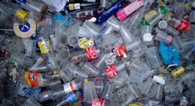 Пластик в океане помогает распространять смертельные болезни - ученые