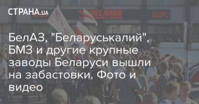 БелАЗ, "Беларуськалий", БМЗ и другие крупные заводы Беларуси вышли на забастовки. Фото и видео
