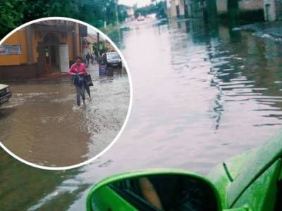 Город на Закарпатье затопило после ливневого дождя