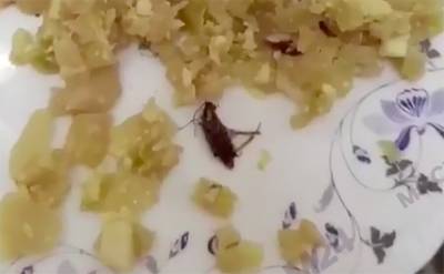 Москвичка обнаружила в пироге с капустой тараканов