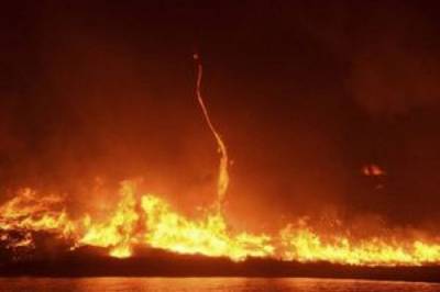 В США из-за лесного пожара поднялся огненный смерч (видео)