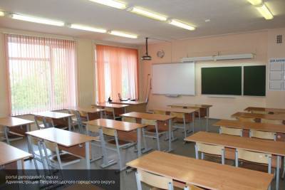 Генеральная уборка и дезинфекция пройдут в школах Петербурга до 1 сентября