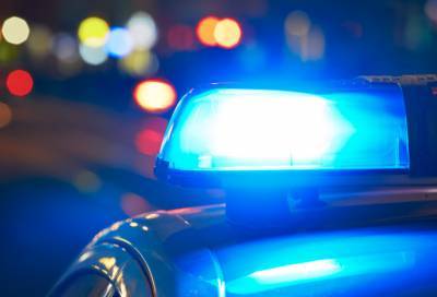 Полиция со стрельбой задержала пьяного угонщика на трассе в Ленобласти