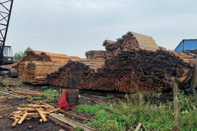 Три человека подозреваются в незаконном вывозе леса из Прибайкалья на 200 млн рублей