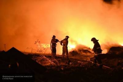 Высокая пожароопасность ожидается в трех районах Новгородской области