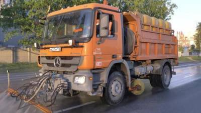 Дорожники за неделю вывезли с улиц Петербурга около 2,5 тонн мусора