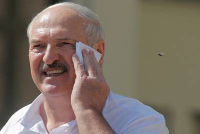 Лукашенко призвал не губить его