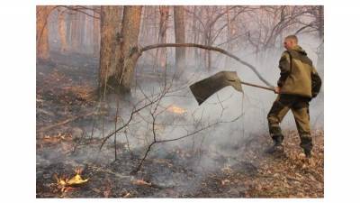 В Крыму пожарные полтора часа тушили поле у села Вилино