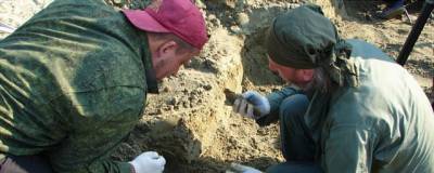 В Саратовской области нашли вторую по размерам древнюю черепаху