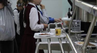 Чиновники обещают школьникам Чувашии усиленный и разнообразный завтрак бесплатно