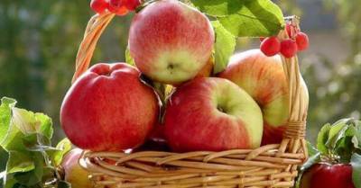 Яблочный Спас: что нельзя делать и что принято святить в церкви