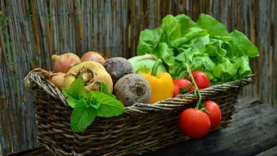 В Московской области подвели итоги по сбору урожая овощей