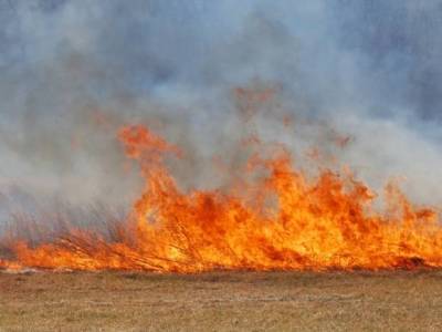 Сильный пожар в степи перекрыл федеральную трассу Сызрань — Волгоград