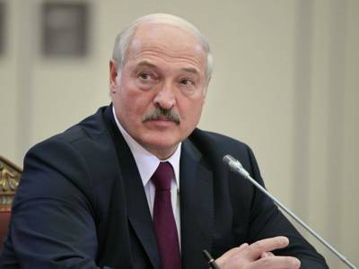 Лукашенко – персона нон-грата: Депутаты Европарламенты не признали результаты выборов в Беларуси