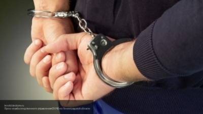 Задержаны облившие кислотой жительницу Подмосковье мужчины