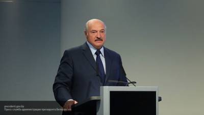Лукашенко не против новых выборов после обновления Конституции Белоруссии