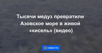 Тысячи медуз превратили Азовское море в живой «кисель» (видео)