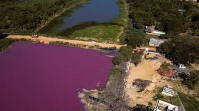 В Парагвае лагуна приобрела загадочный фиолетовый цвет (ФОТО)