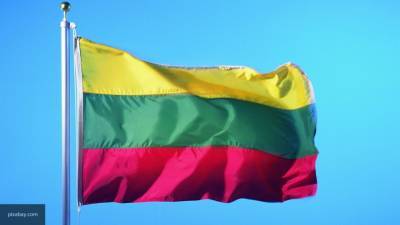 В Литве выступили за новые выборы в Белоруссии