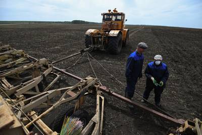 Фермеры Костромской области получат гранты на развитие