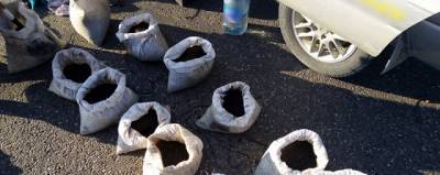 Полиция изъяла у вахтовиков в Приамурье 15 мешков золотоносной руды