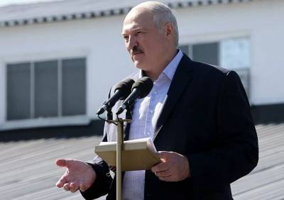 Лукашенко допустил возможность новых президентских выборов