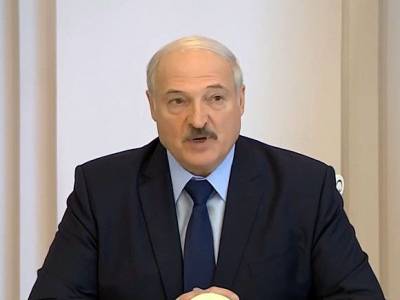 Лукашенко: Новые выборы будут при изменении конституции