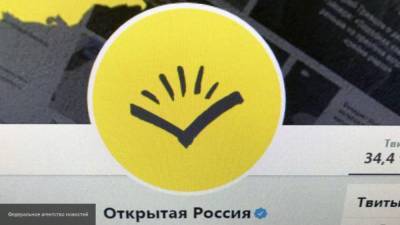 Усманова из "Открытой России" заплатит штраф в 30 тыс. рублей