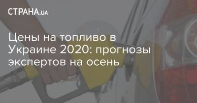 Цены на топливо в Украине 2020: прогнозы экспертов на осень