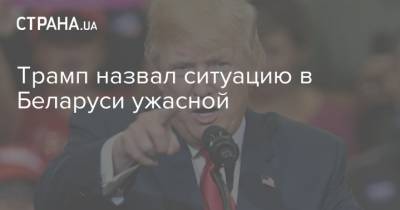 Трамп назвал ситуацию в Беларуси ужасной