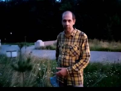 Активисты обеспокоены судьбой кедровой аллеи в парке «Швейцария»