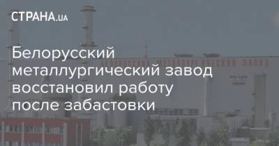 Белорусский металлургический завод восстановил работу после забастовки