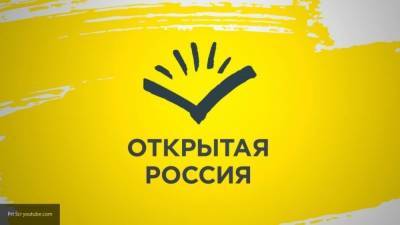Усманова выплатит штраф в размере 30 тыс. рублей по решению суда