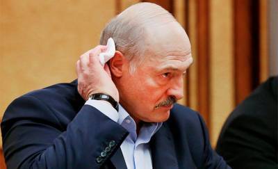 Гомельчанин обратился в МВД — требует задержать Ермошину и Лукашенко