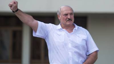 Задержаны три человека, готовившие провокацию против Лукашенко