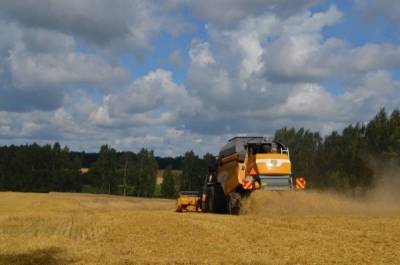 Зерновые, лен, заготовка кормов - на Вологодчине идет уборочная кампания