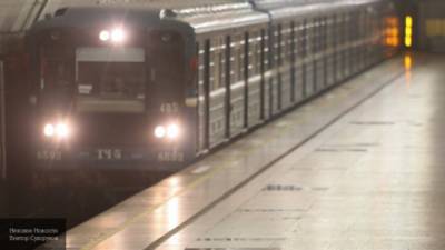 Сотрудник полиции спас пассажира московского метро от наезда состава