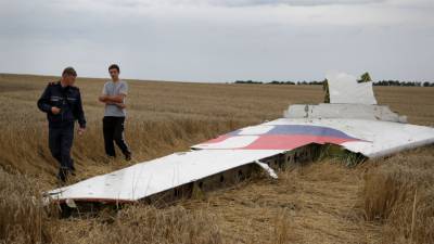 Эксперт предупредил Киев о серьезных последствиях из-за подлога в деле MH17