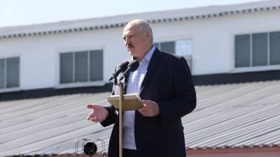 Лукашенко заявил, что оппозиции предлагали пересчёт голосов