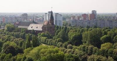 Калининград вошёл в тройку самых популярных направлений для коротких поездок по России