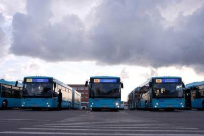 Автобусный парк Петербурга пополняется новыми моделями