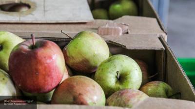 Диетологи назвали яблоко калорийным продуктом