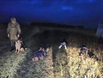 Ночью в Курганской области на границе с Казахстаном ФСБ задержала трех иностранцев