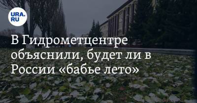 В Гидрометцентре объяснили, будет ли в России «бабье лето»