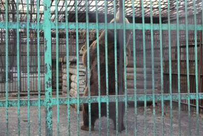 Власти Башкирии рассказали, каким будет будущий зоопарк
