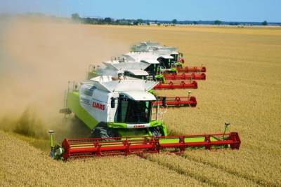 На 30% повысилась урожайность зерновых в Нижегородской области в 2020 году