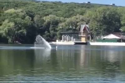 Туристы чуть не сломали фонтан в озере в Железноводске