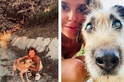 Наталья Водянова нашла дом для подвергшейся издевательствам собаки из Сочи
