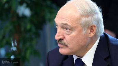 Лукашенко наградил группу правоохранителей РБ
